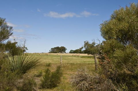 Ficifolia Lodge - Great Ocean Road Tourism 4