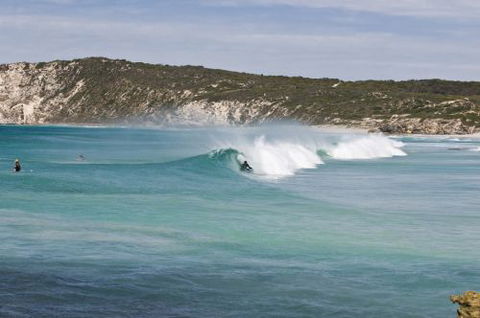 Ficifolia Lodge - Great Ocean Road Tourism 5