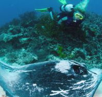 Heron Island Resort - Great Ocean Road Tourism