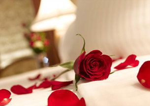 Springs Creek - Great Ocean Road Tourism 2