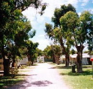 Bathers Paradise Caravan Park - Great Ocean Road Tourism