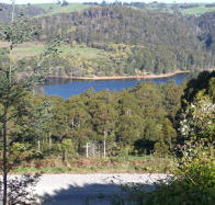 Charlyn Lodge - Great Ocean Road Tourism