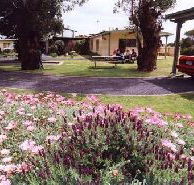 Brigadoon Holiday Units - Great Ocean Road Tourism