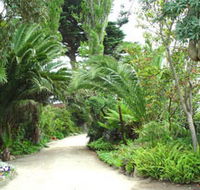 Seacove On The Beach - Great Ocean Road Tourism
