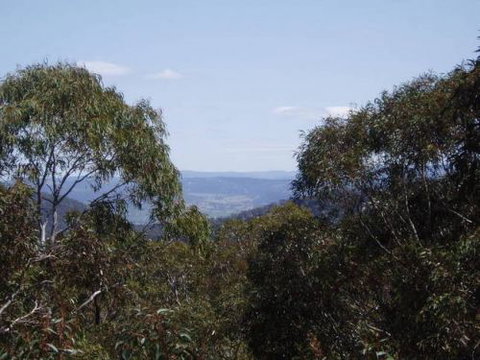 Tara At Mount Victoria - Great Ocean Road Tourism 7