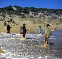 Flippers Beachouse - Great Ocean Road Tourism