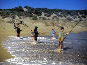 Flippers Beachouse - Great Ocean Road Tourism 0