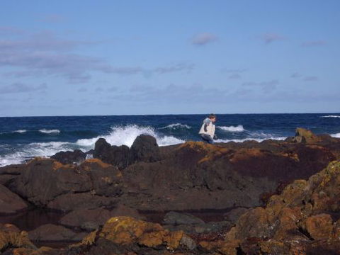Walkerville South Accommodation - Great Ocean Road Tourism 1