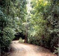 Mt Glorious Getaway Cottages And Conference Centre - Great Ocean Road Tourism