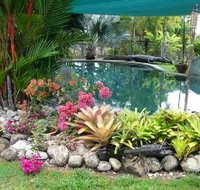 Daintree Wild Bed And Breakfast - Great Ocean Road Tourism