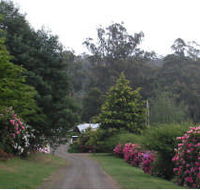 Mountain Rivers Lodge - Great Ocean Road Tourism