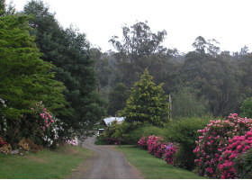 Mountain Rivers Lodge - Great Ocean Road Tourism 0