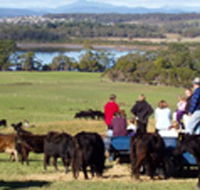 Bonny Brae - Great Ocean Road Tourism