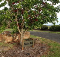 Belle Vue Studio - Great Ocean Road Tourism