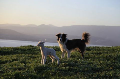 Bruny Island Guest House - Great Ocean Road Tourism 5