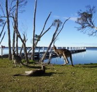 Waterfront Retreat At Wattle Point - Great Ocean Road Tourism