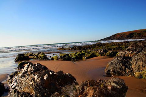 ArtHOUSE Beachfront Accommodation - Great Ocean Road Tourism 8