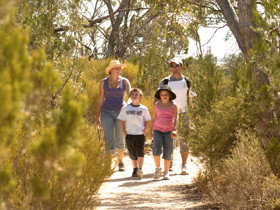 Pepper Tree Cottage - Great Ocean Road Tourism 0