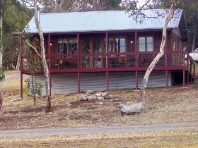 Ivybrook Vineyard Cottage - Great Ocean Road Tourism 0