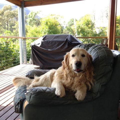 Ant's Halls Gap Holiday House - Great Ocean Road Tourism 7