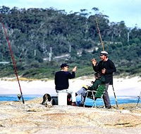Binalong Bungalows - Great Ocean Road Tourism