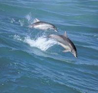 Seachange - Great Ocean Road Tourism