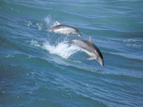 Seachange - Great Ocean Road Tourism 0
