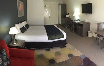 Country Comfort Hunts Liverpool - Great Ocean Road Tourism 53