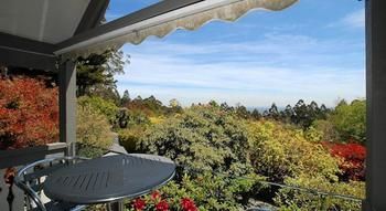 Annie Roe's Luxury Bed & Breakfast - Great Ocean Road Tourism 14