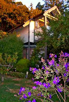 Annie Roe's Luxury Bed & Breakfast - Great Ocean Road Tourism 4