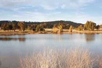 Talga Estate - Great Ocean Road Tourism 3