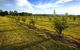 Talga Estate - thumb 12