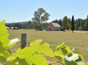 Madigan Wine Country Cottages - Great Ocean Road Tourism 94
