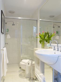 Andre's Mews Luxury Serviced Apartments - Great Ocean Road Tourism 24