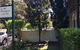 Avonmore On The Park Boutique Hotel - thumb 16
