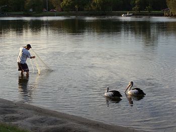 Maroochy River Resort & Bungalows - Great Ocean Road Tourism 6