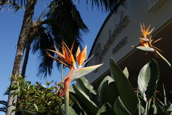 Beachside Resort - Kawana Waters - Great Ocean Road Tourism 4