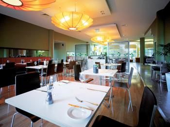 Ibis Melbourne Glen Waverley - Great Ocean Road Tourism 18