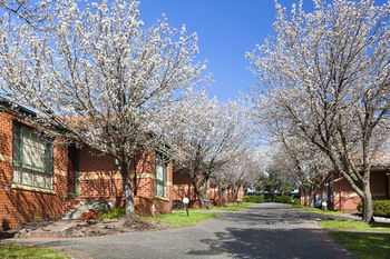 Apartments @ Mt Waverley - Great Ocean Road Tourism 26