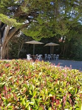Hotel Avonleigh - Great Ocean Road Tourism 74