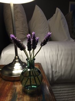 Lilies Luxury Retreats - Great Ocean Road Tourism 51