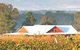 Lilies Luxury Retreats - thumb 6