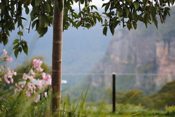 Echoes Boutique Hotel And Restaurant - Great Ocean Road Tourism 13