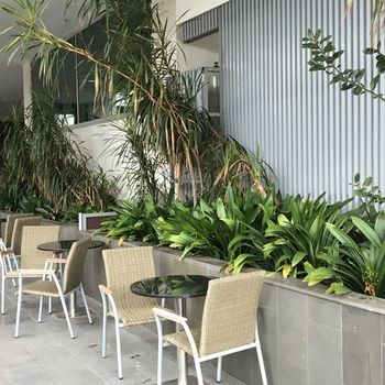 Best Western Premier Hotel 115 Kew - Great Ocean Road Tourism 22