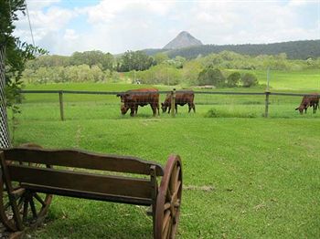 Blackwattle Farm B&B And Farm Stay - Great Ocean Road Tourism 1