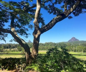 Blackwattle Farm B&B And Farm Stay - Great Ocean Road Tourism 9