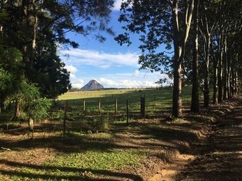 Blackwattle Farm B&B And Farm Stay - Great Ocean Road Tourism 12