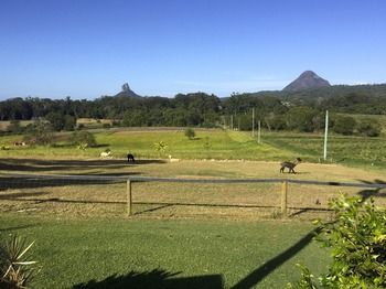Blackwattle Farm B&B And Farm Stay - Great Ocean Road Tourism 29