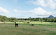 Blackwattle Farm B&B And Farm Stay - thumb 43