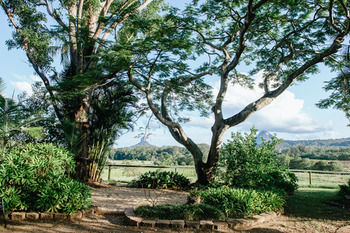 Blackwattle Farm B&B And Farm Stay - Great Ocean Road Tourism 45